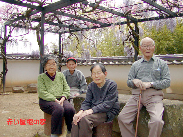 赤い屋根の家デイサービス 藤の花の画像