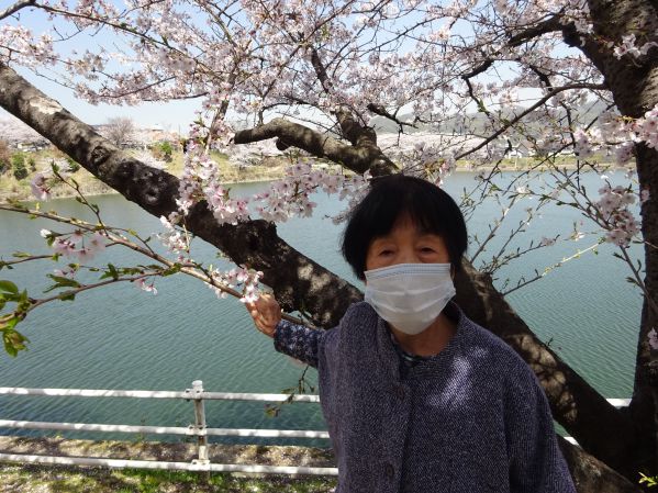 お花見（2F花）の画像