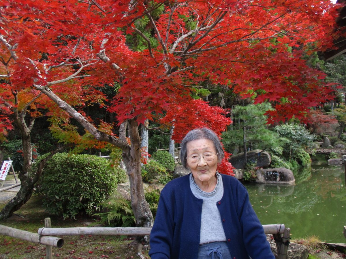 日常（3F 夢）紅葉の画像