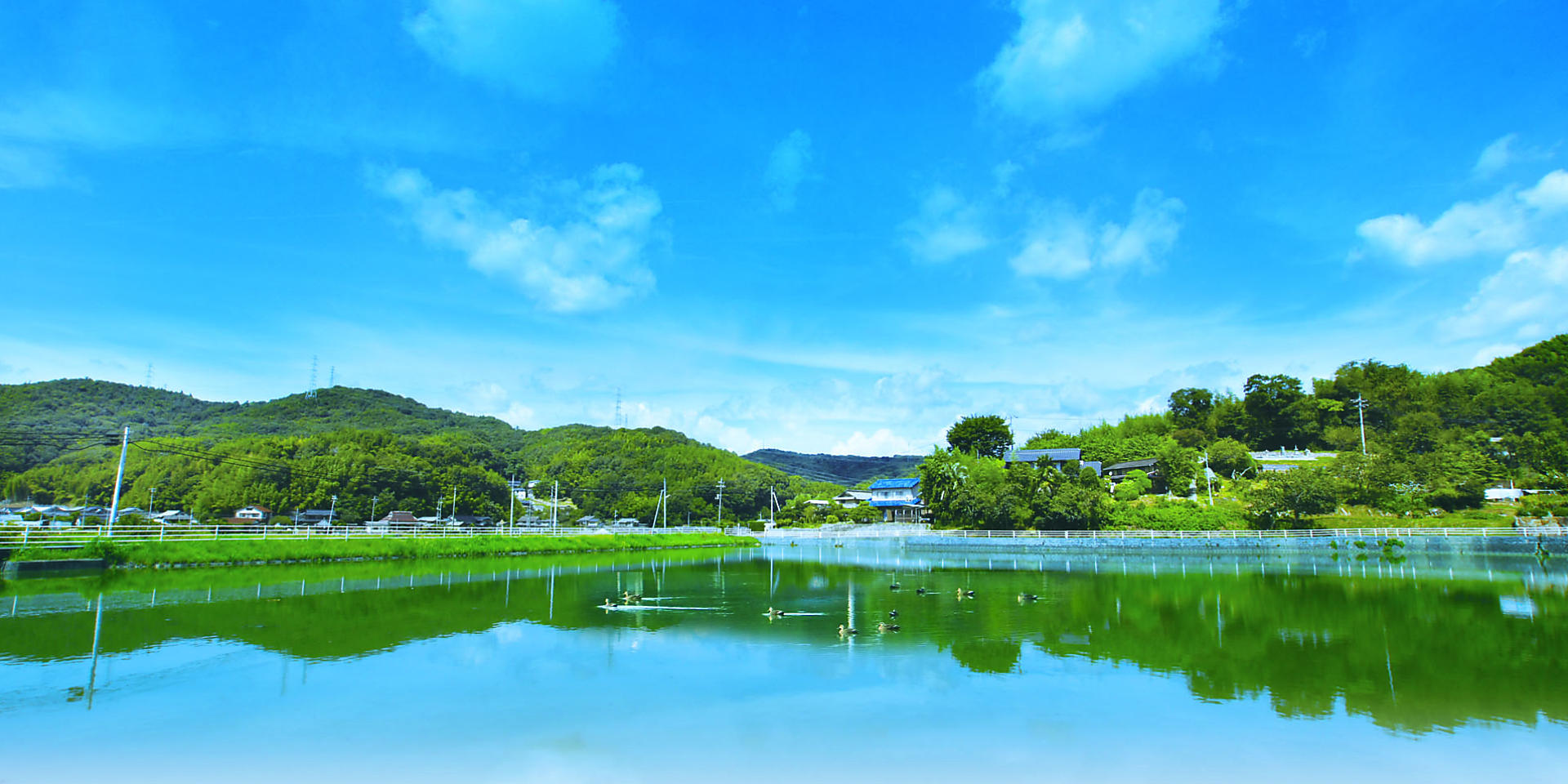 トップスライド画像3